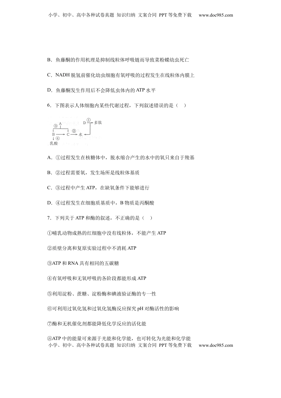 5.3 细胞呼吸的原理和应用 练习【新教材】人教版（2019）高中生物必修一.docx