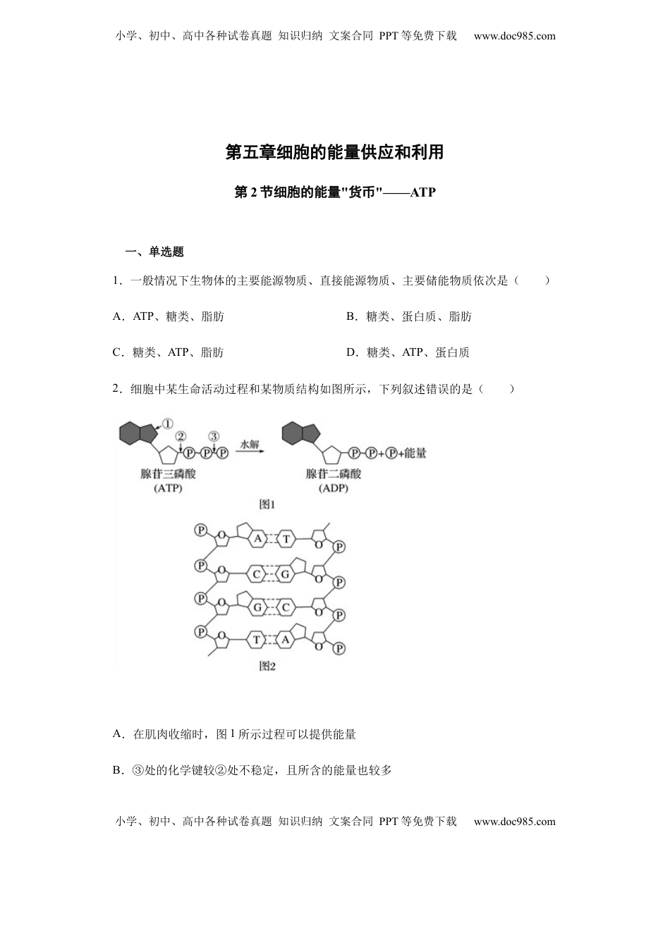 5.2 细胞的能量“货币”——ATP 练习 【新教材】人教版（2019）高中生物必修一.docx