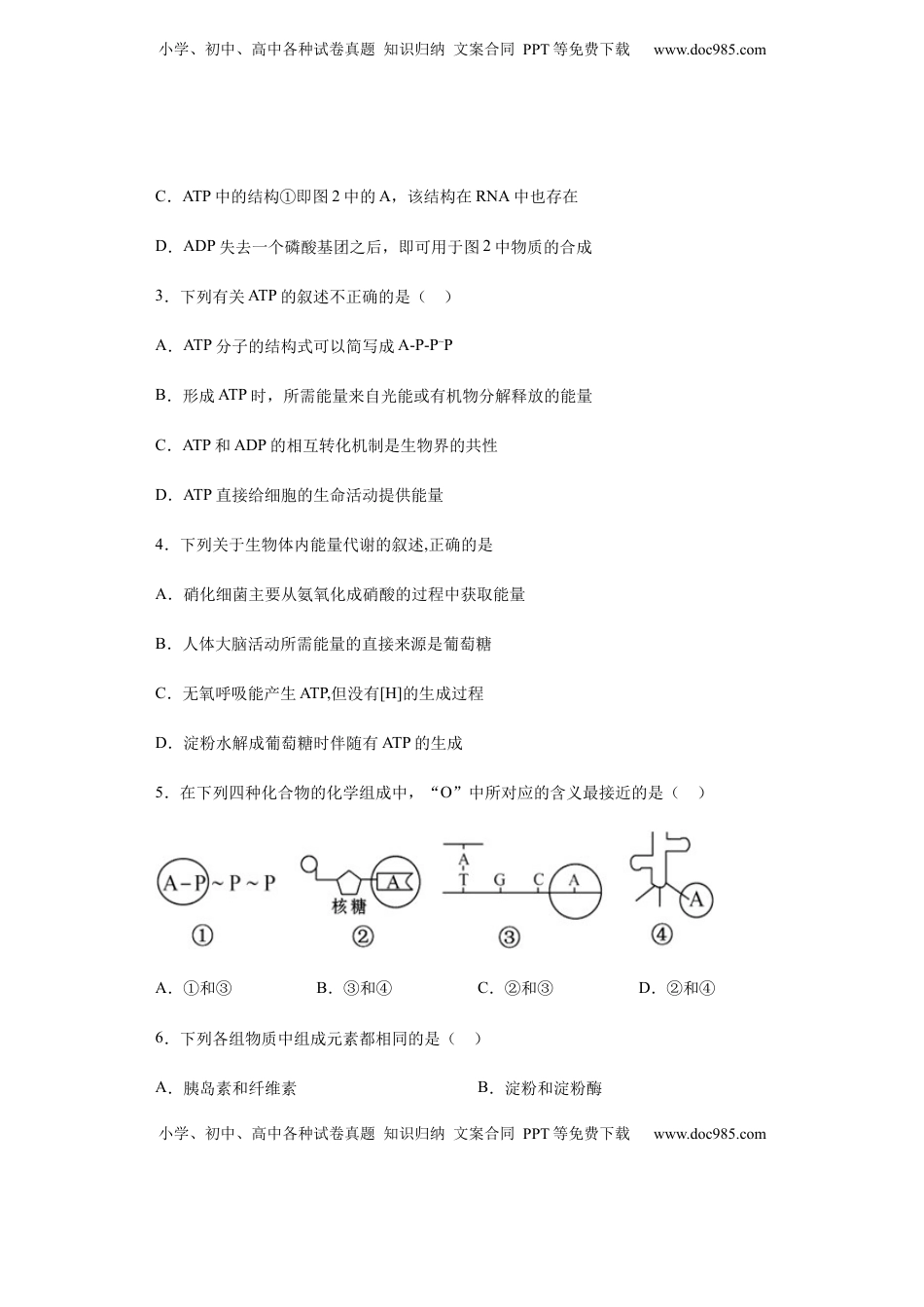 5.2 细胞的能量“货币”——ATP 练习 【新教材】人教版（2019）高中生物必修一.docx