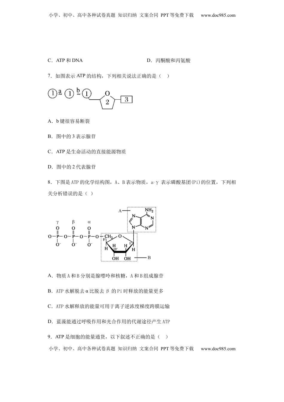 5.2 细胞的能量“货币”——ATP 练习 【新教材】人教版（2019）高中生物必修一.docx