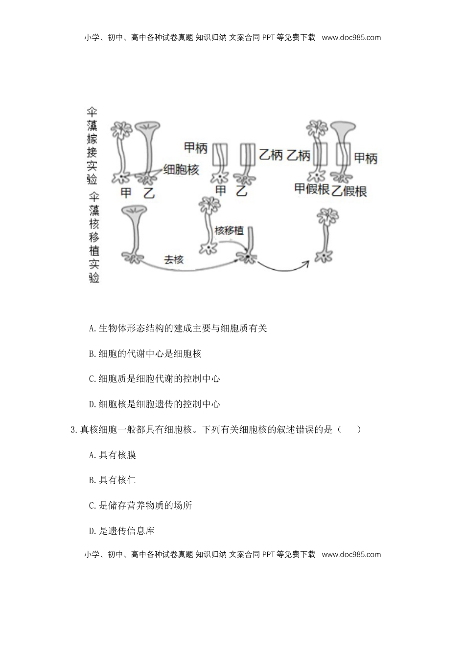 3.3 细胞核的结构和功能 练习【新教材】人教版（2019）高中生物必修一.docx