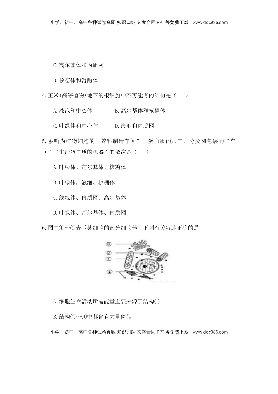 3.2 细胞器之间的分工合作 练习 【新教材】人教版（2019）高中生物必修一（含视频和思维导图）.docx