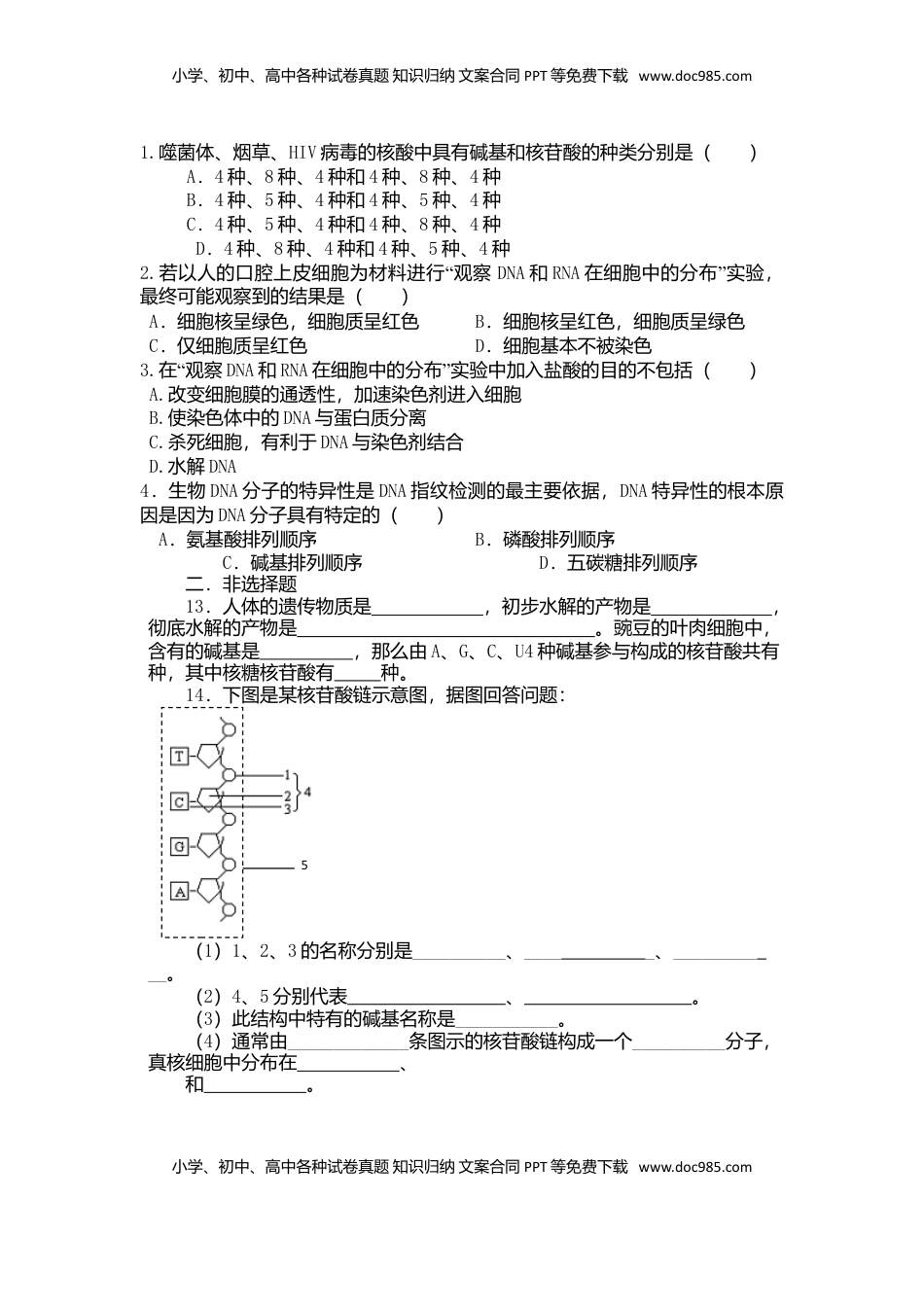 2.5 核酸是遗传信息的携带者 练习 【新教材】人教版（2019）高中生物必修一.doc