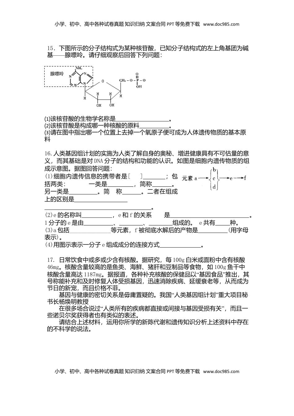 2.5 核酸是遗传信息的携带者 练习 【新教材】人教版（2019）高中生物必修一.doc