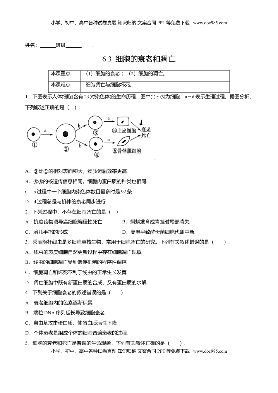 6.3  细胞的衰老和凋亡-高一生物课后培优练（人教版2019必修1）（原卷版）.doc