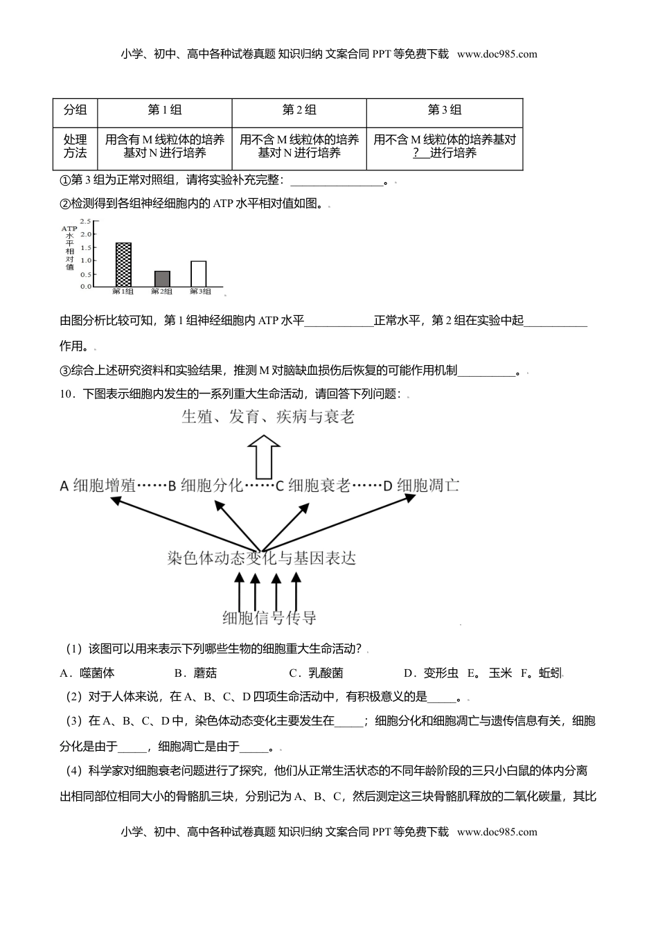 6.3  细胞的衰老和凋亡-高一生物课后培优练（人教版2019必修1）（原卷版）.doc