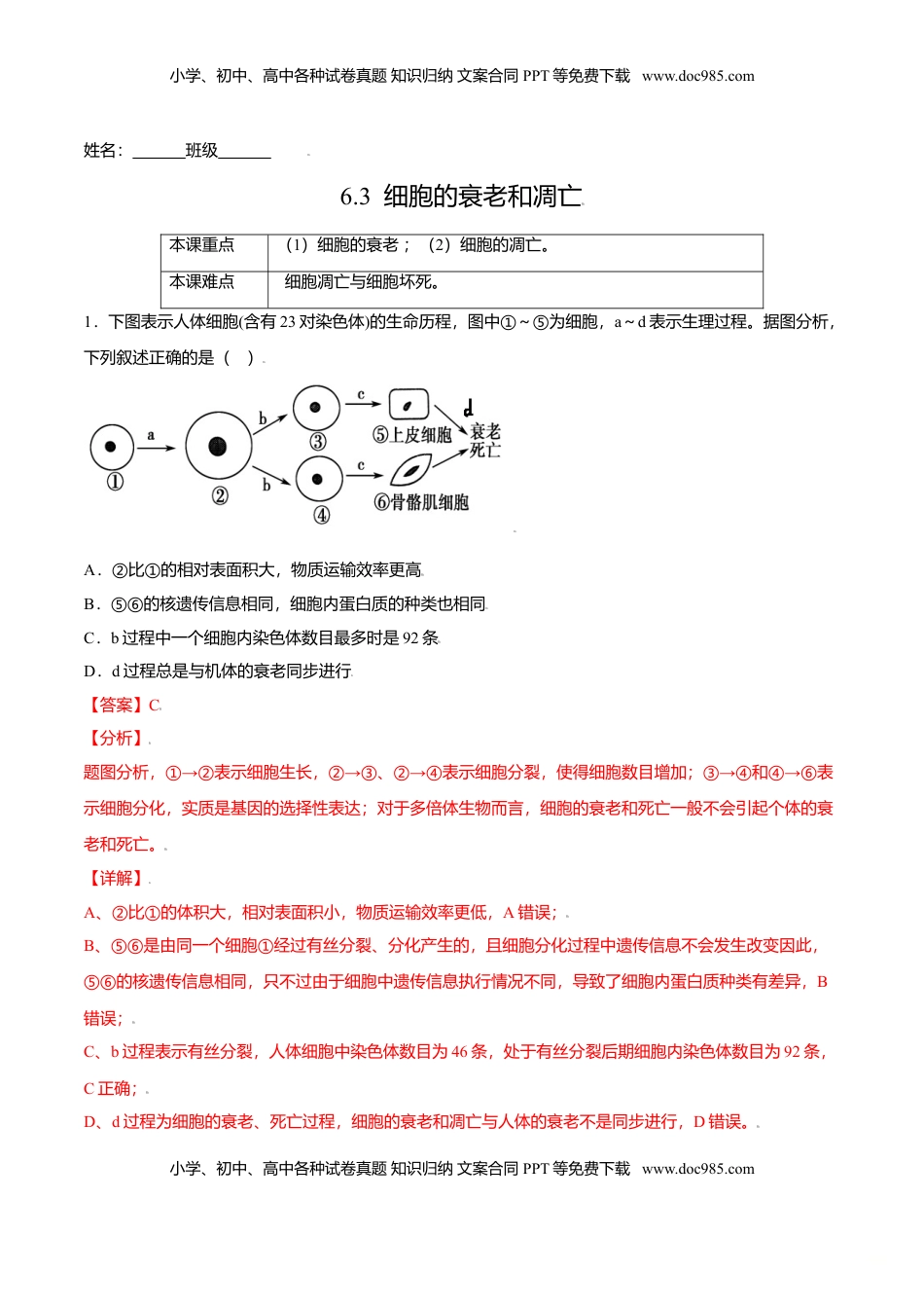 6.3  细胞的衰老和凋亡-高一生物课后培优练（人教版2019必修1）（解析版）.doc