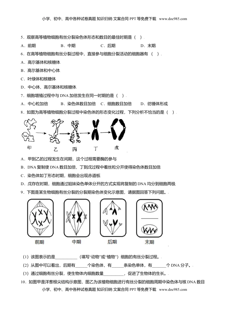 6.1  细胞的增殖-高一生物课后培优练（人教版2019必修1）（原卷版）.doc