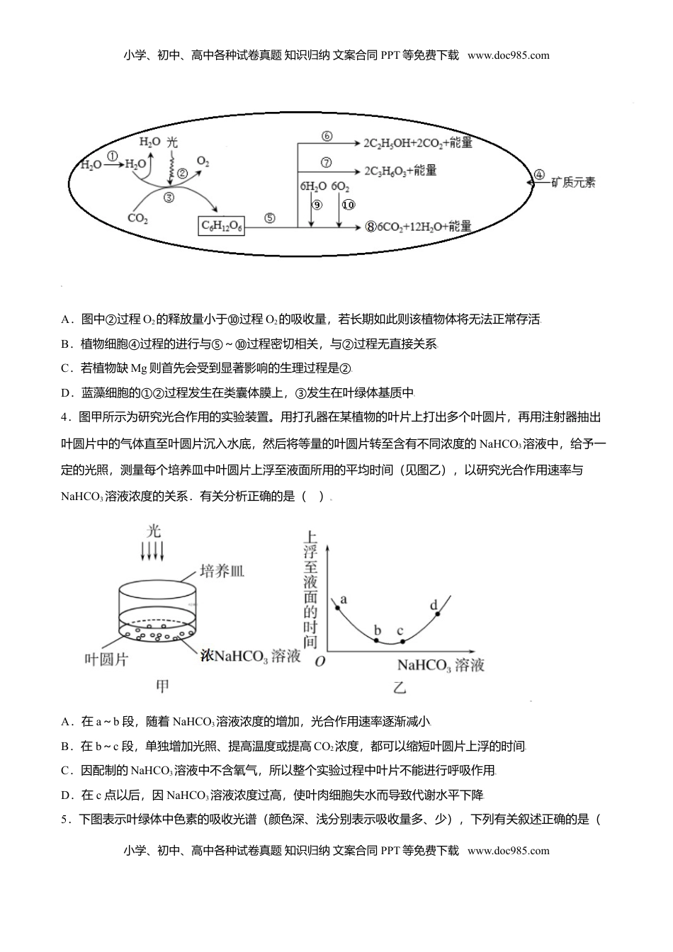 5.4  光合作用与能量转化-高一生物课后培优练（人教版2019必修1）（原卷版）.doc