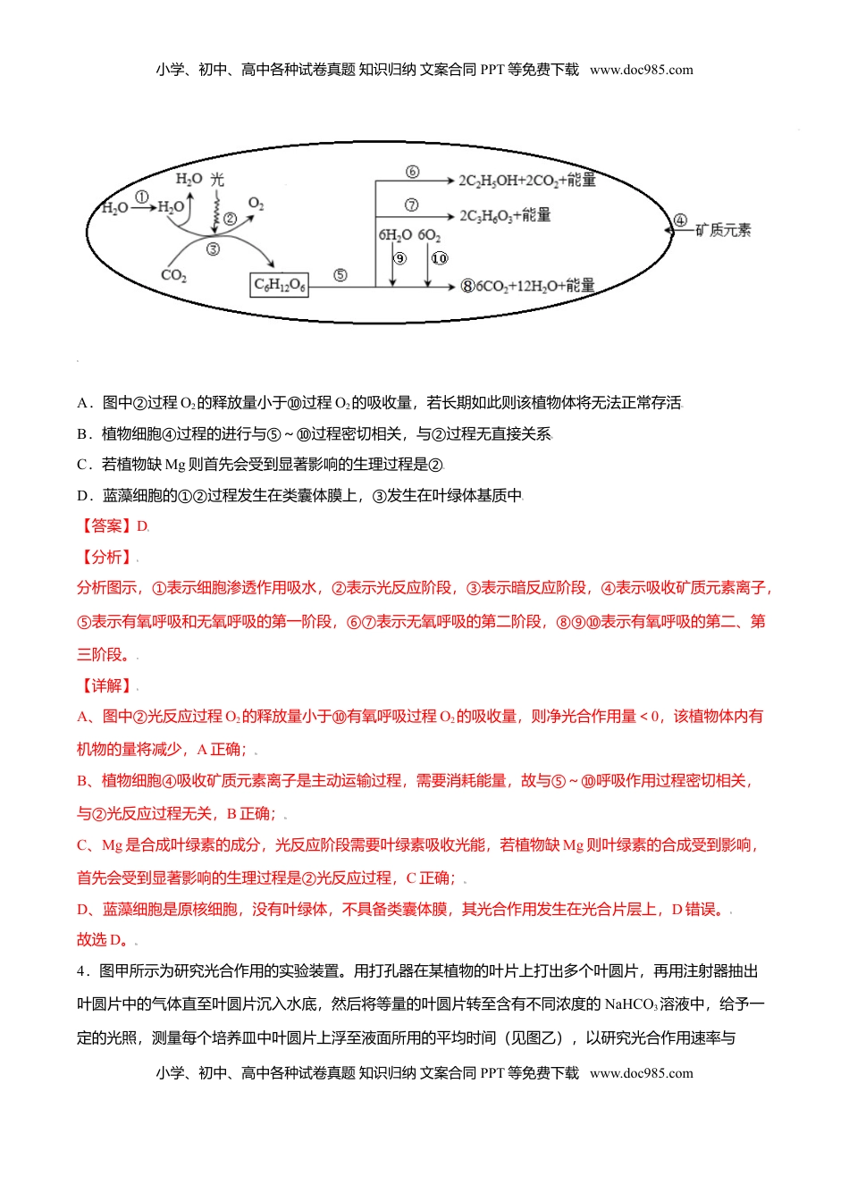 5.4  光合作用与能量转化-高一生物课后培优练（人教版2019必修1）（解析版）.doc