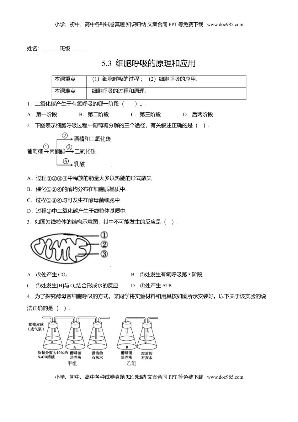5.3  细胞呼吸的原理和应用-高一生物课后培优练（人教版2019必修1）（原卷版）.doc