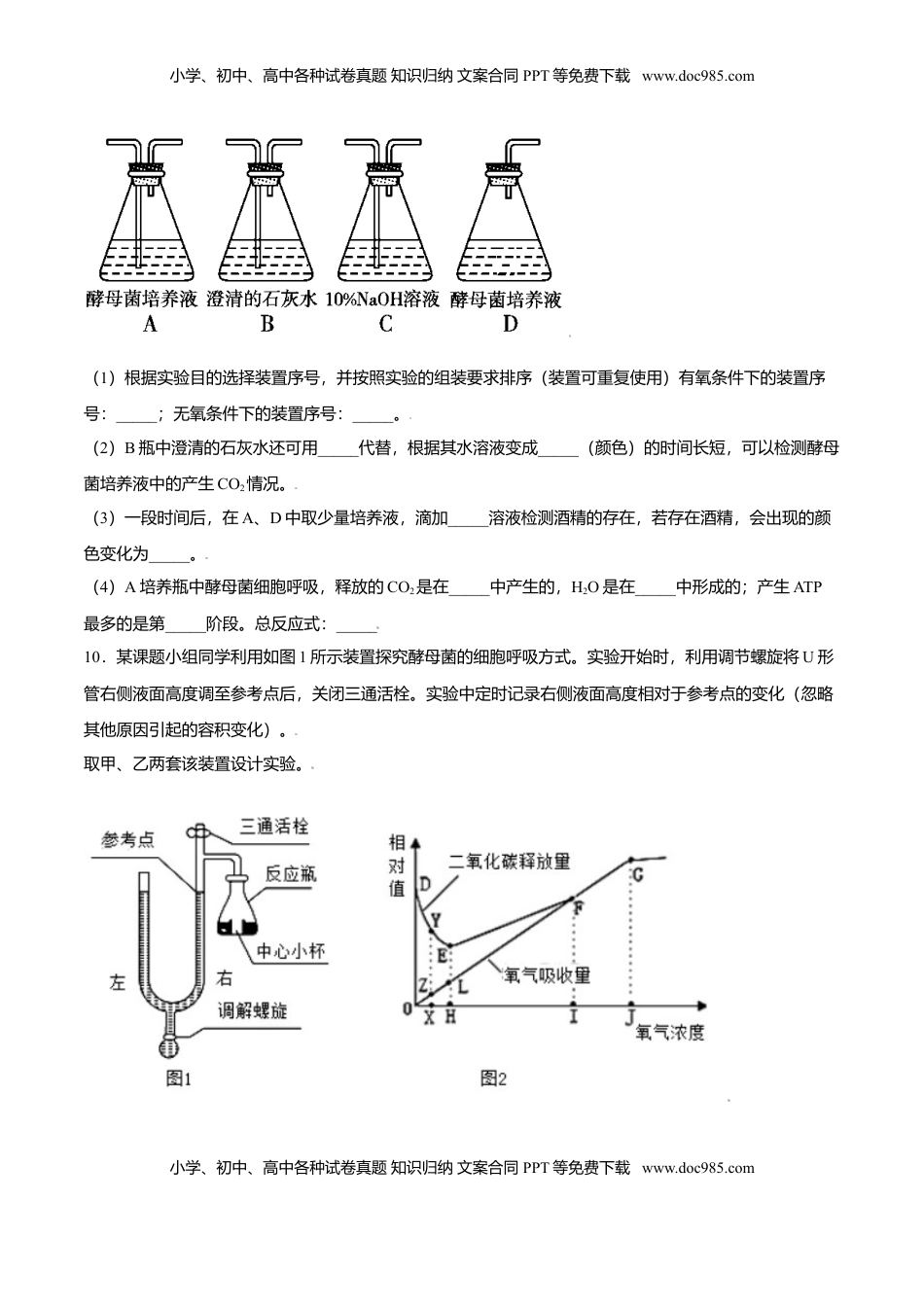 5.3  细胞呼吸的原理和应用-高一生物课后培优练（人教版2019必修1）（原卷版）.doc
