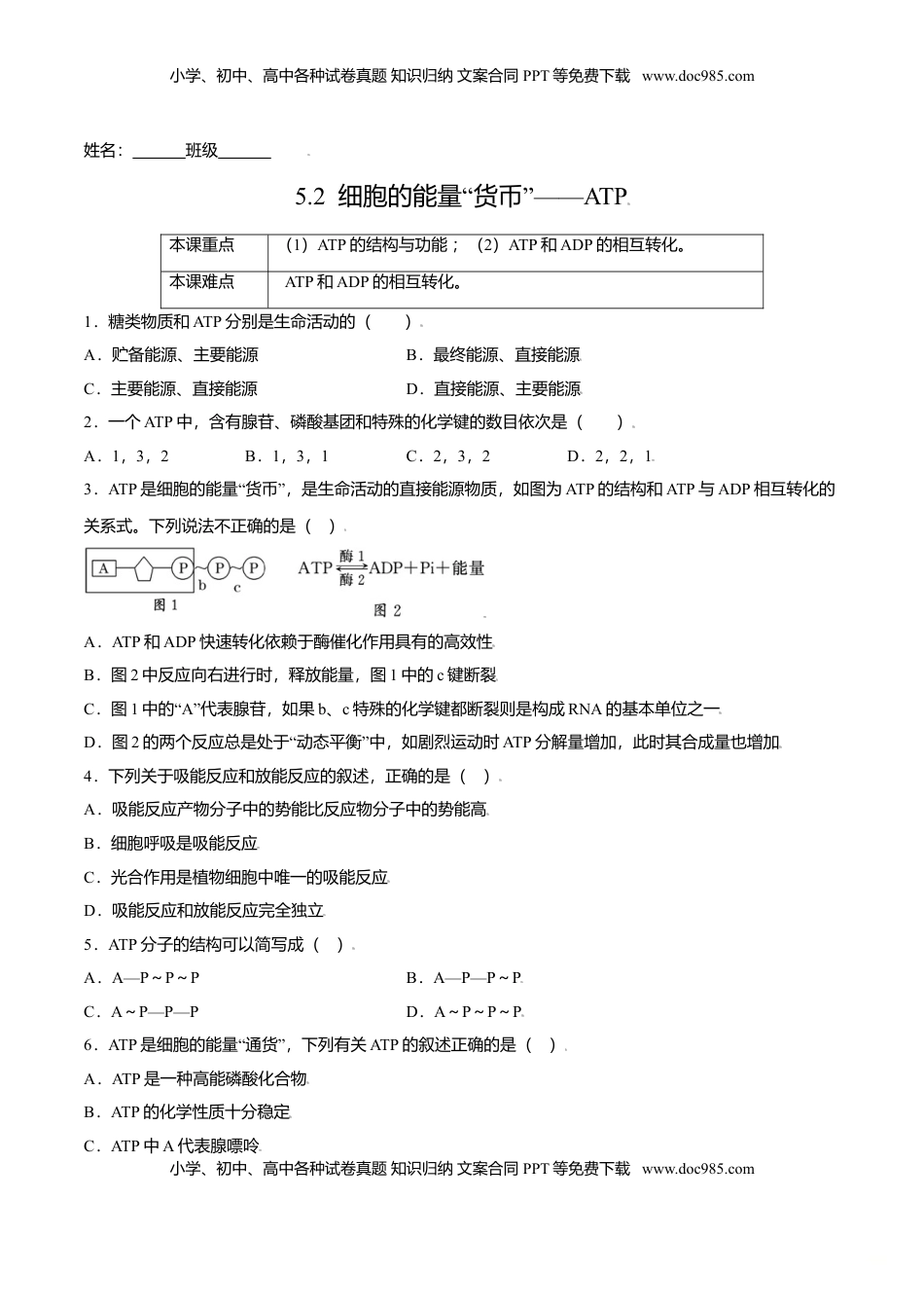 5.2  细胞的能量“货币”——ATP-高一生物课后培优练（人教版2019必修1）（原卷版）.doc