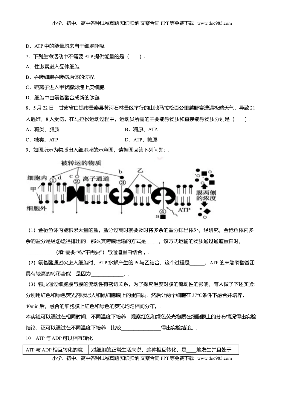 5.2  细胞的能量“货币”——ATP-高一生物课后培优练（人教版2019必修1）（原卷版）.doc