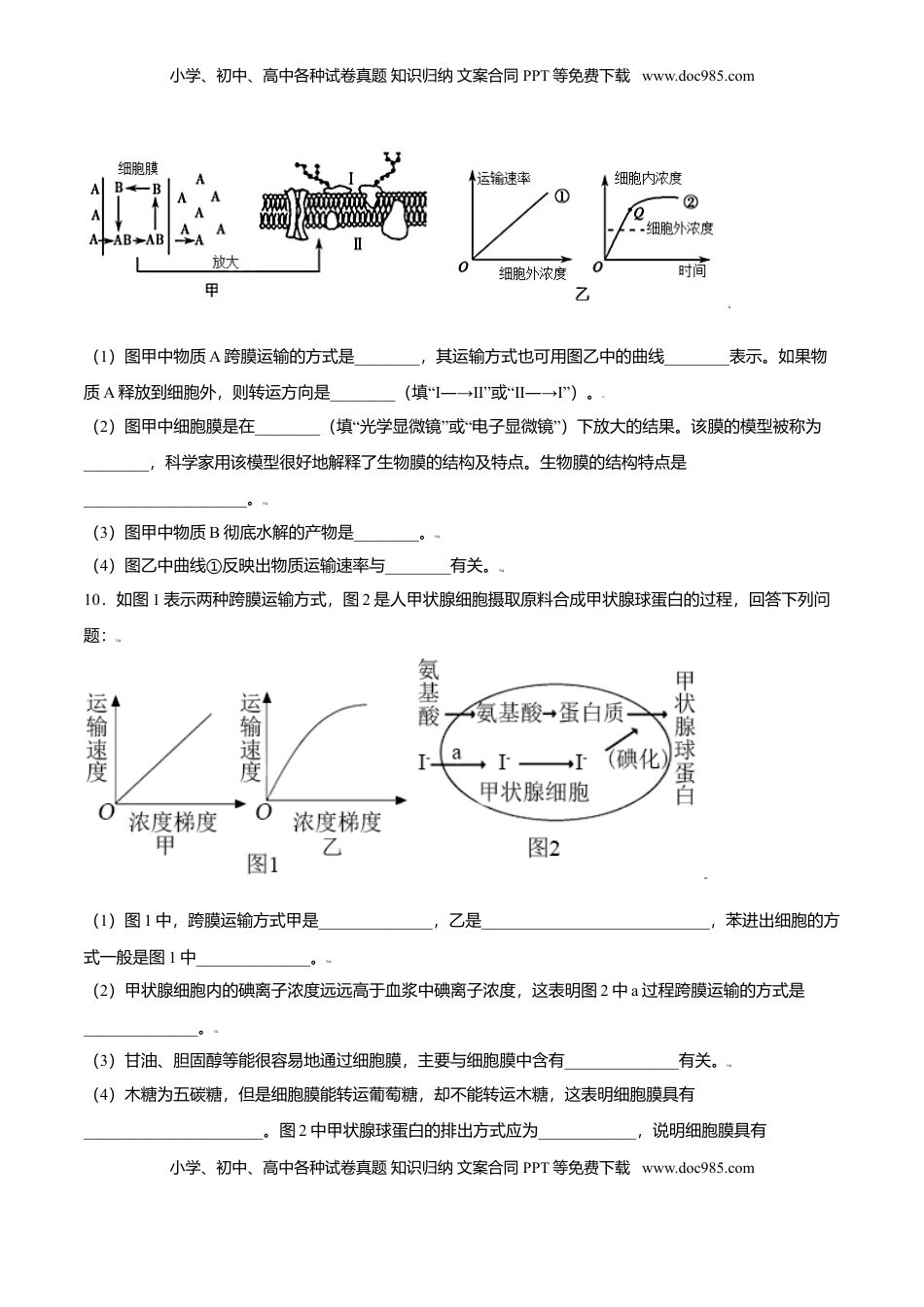 4.2  主动运输与胞吞、胞吐-高一生物课后培优练（人教版2019必修1）（原卷版）.doc