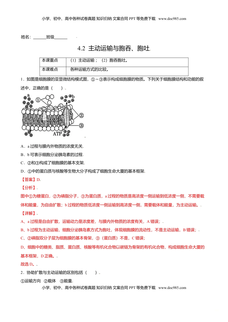 4.2  主动运输与胞吞、胞吐-高一生物课后培优练（人教版2019必修1）（解析版）.doc