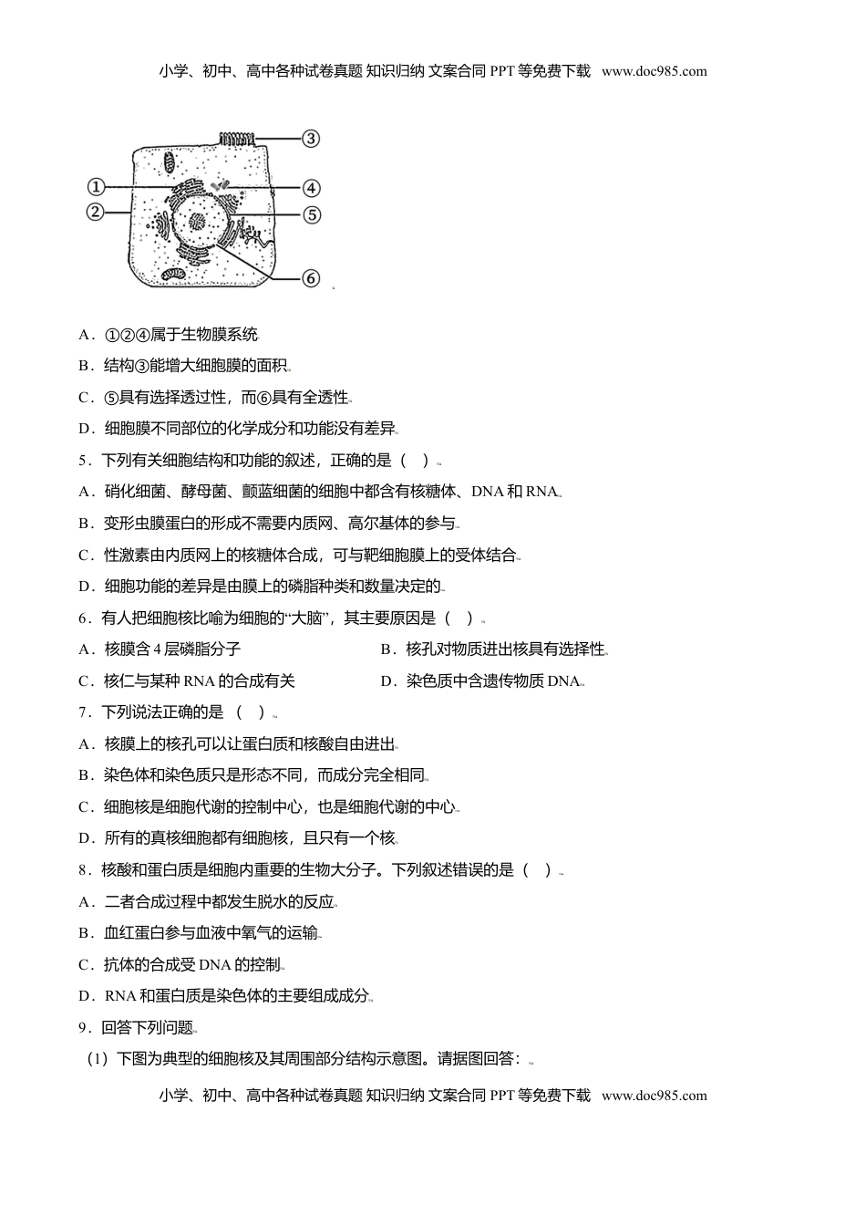 3.3  细胞核的结构和功能-高一生物课后培优练（人教版2019必修1）（原卷版）.doc
