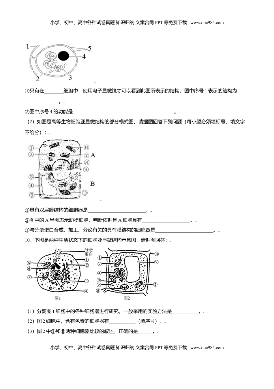 3.3  细胞核的结构和功能-高一生物课后培优练（人教版2019必修1）（原卷版）.doc