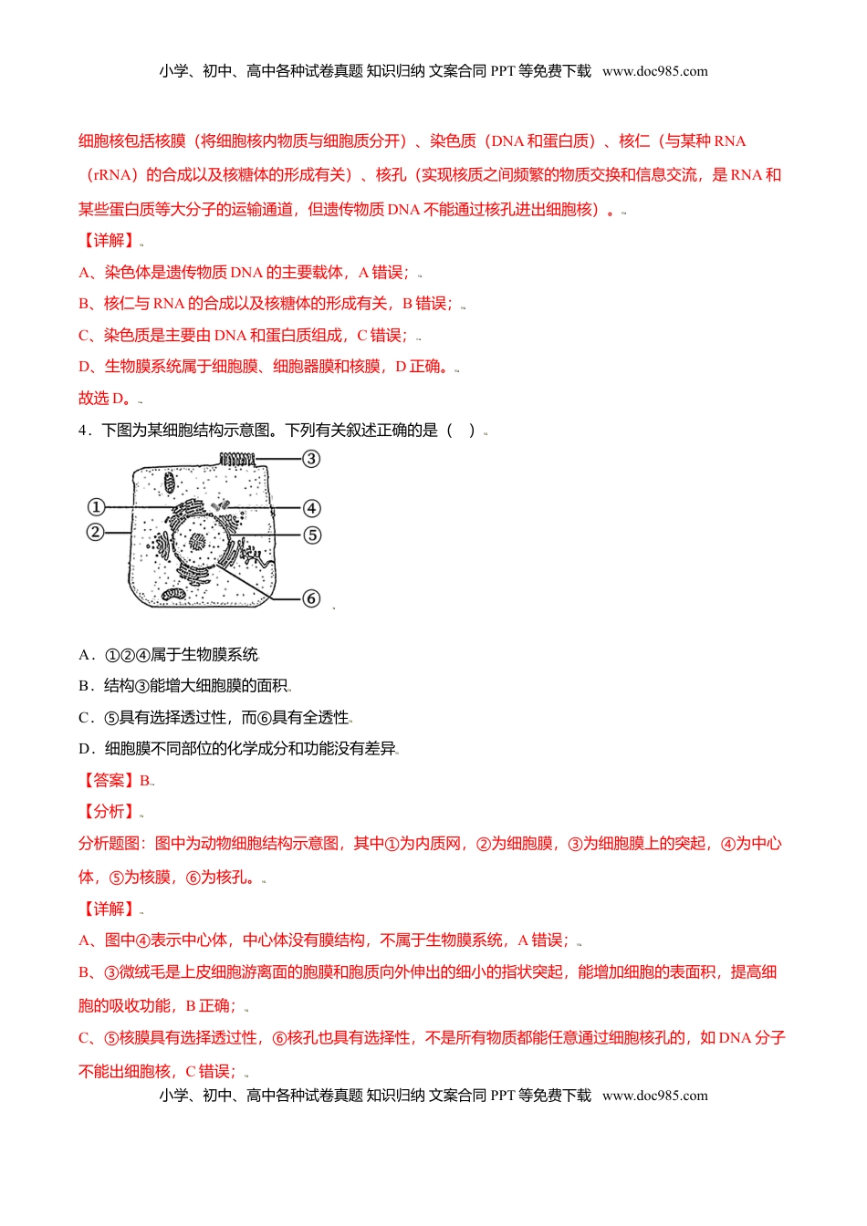 3.3  细胞核的结构和功能-高一生物课后培优练（人教版2019必修1）（解析版）.doc