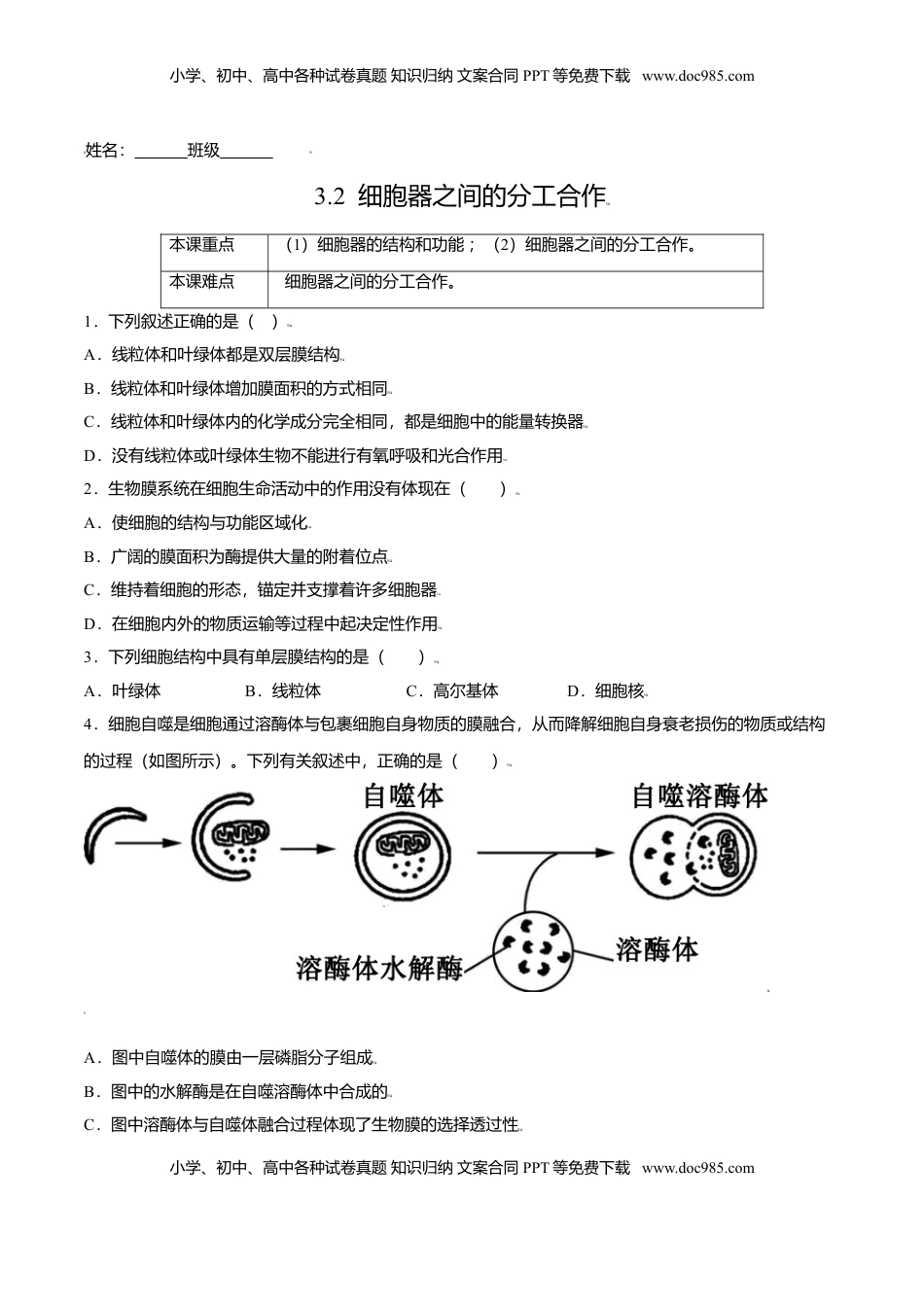 3.2  细胞器之间的分工合作-高一生物课后培优练（人教版2019必修1）（原卷版）.doc