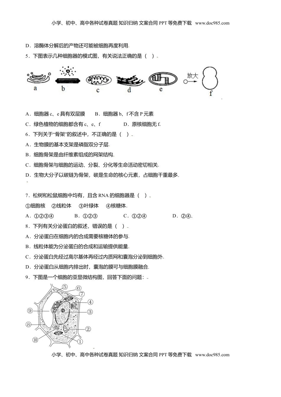 3.2  细胞器之间的分工合作-高一生物课后培优练（人教版2019必修1）（原卷版）.doc