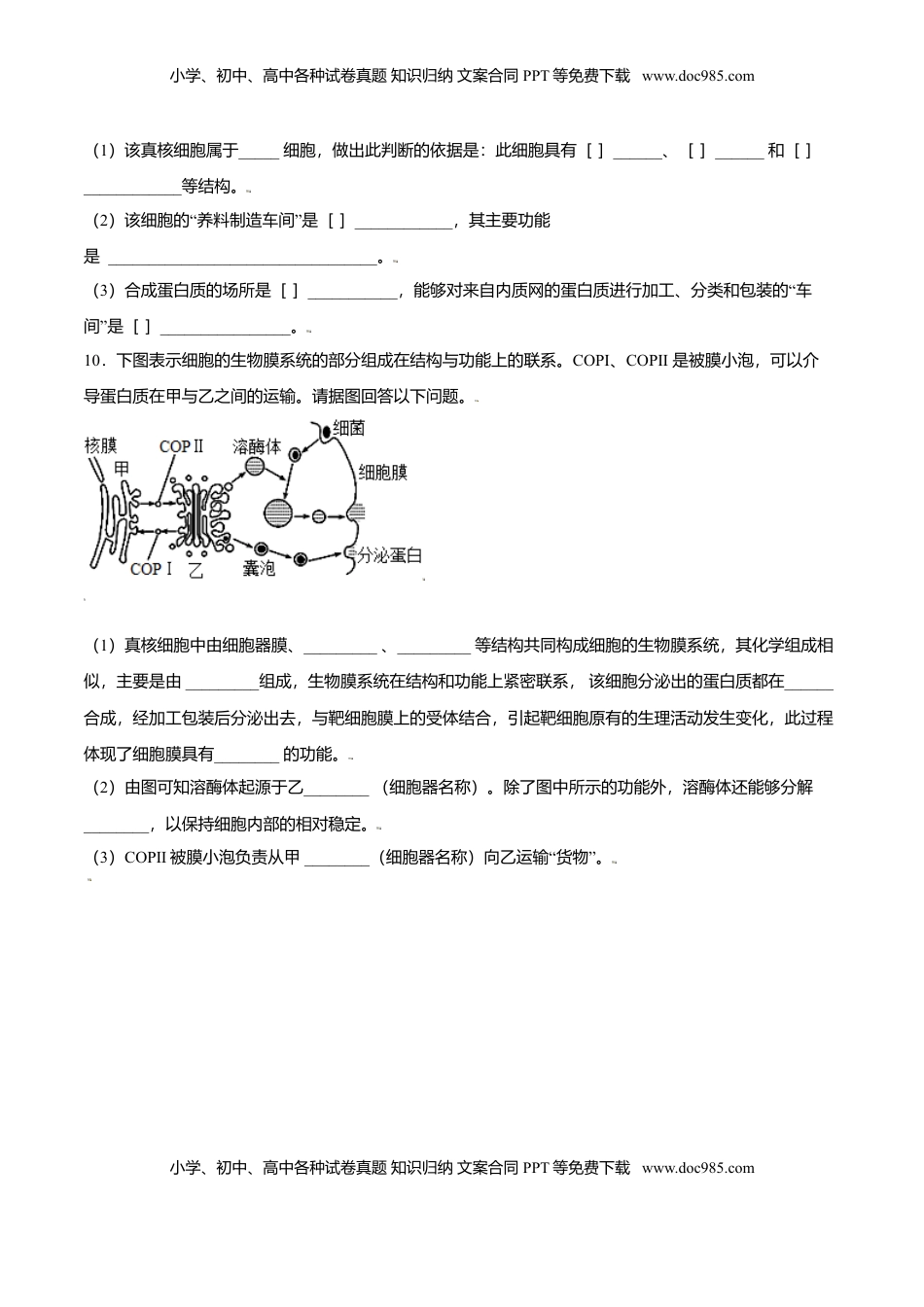 3.2  细胞器之间的分工合作-高一生物课后培优练（人教版2019必修1）（原卷版）.doc
