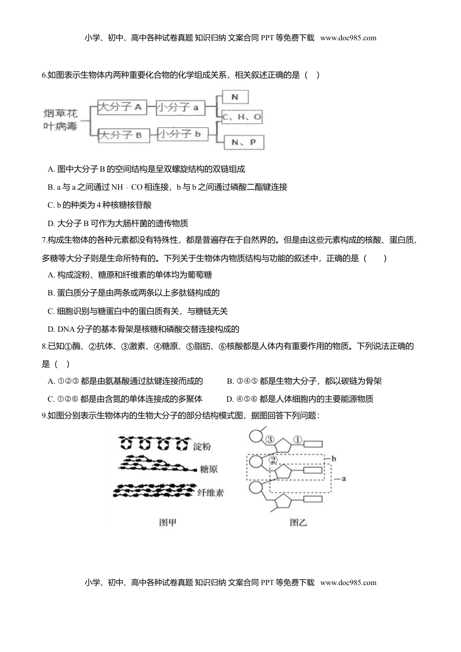 2.5  核酸是遗传信息的携带者-高一生物课后培优练（人教版2019必修1）（原卷版）.doc