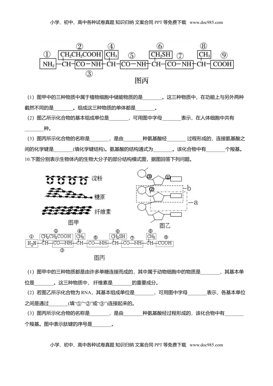 2.5  核酸是遗传信息的携带者-高一生物课后培优练（人教版2019必修1）（原卷版）.doc