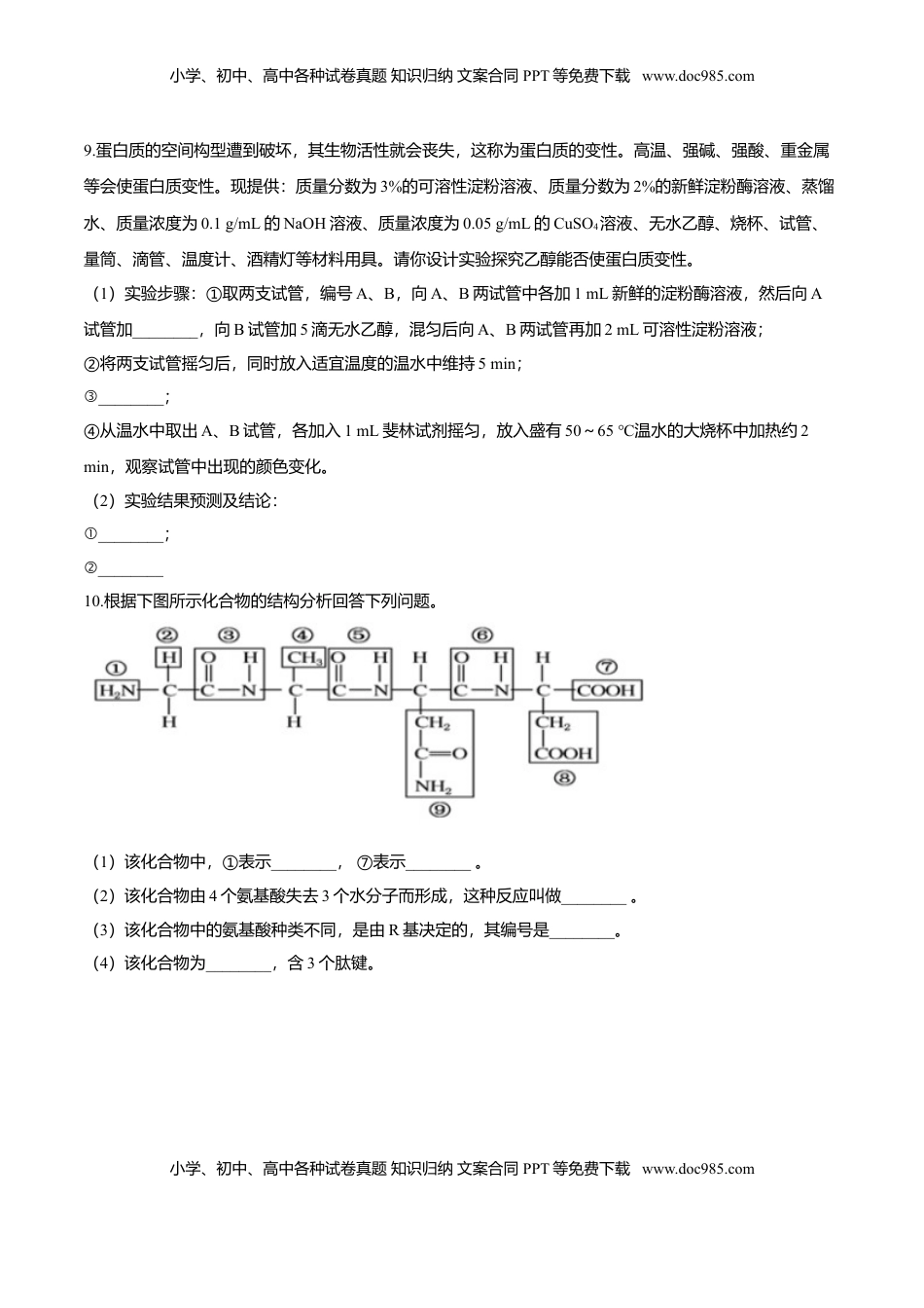 2.4  蛋白质是生命活动的主要承担者-高一生物课后培优练（人教版2019必修1）（原卷版）.doc