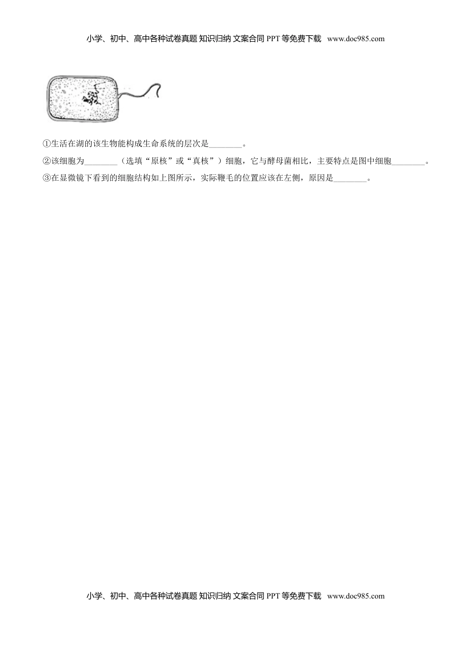 1.1 细胞是生命活动的基本单位-高一生物课后培优练（人教版2019必修1）（原卷版）.doc
