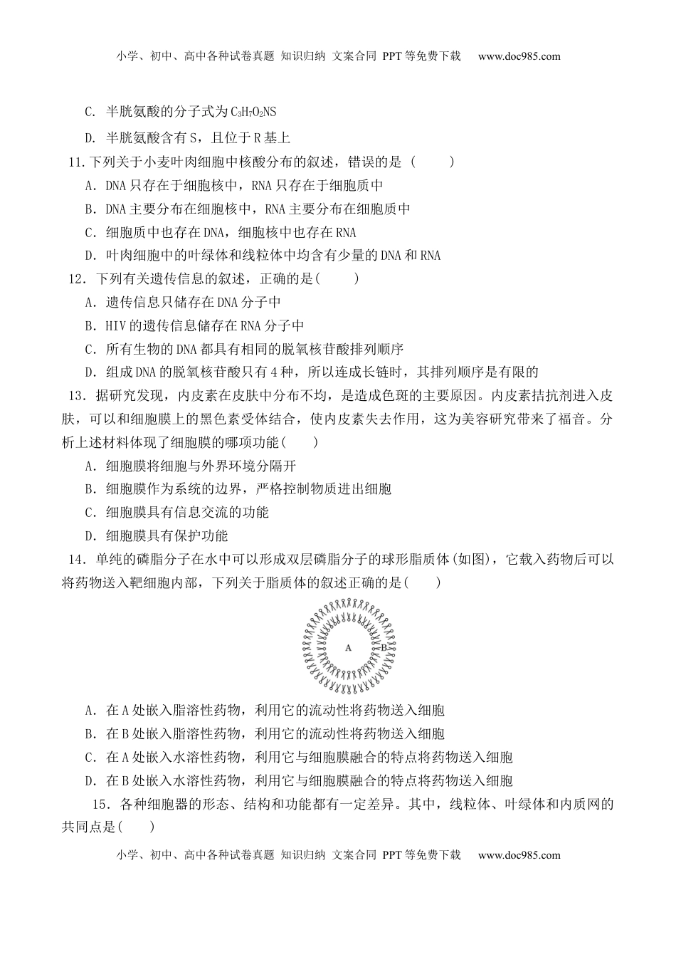 期中预测卷- 2022-2023学年高一生物上学期课后培优分级练（2019人教版必修1）（原卷版）.docx