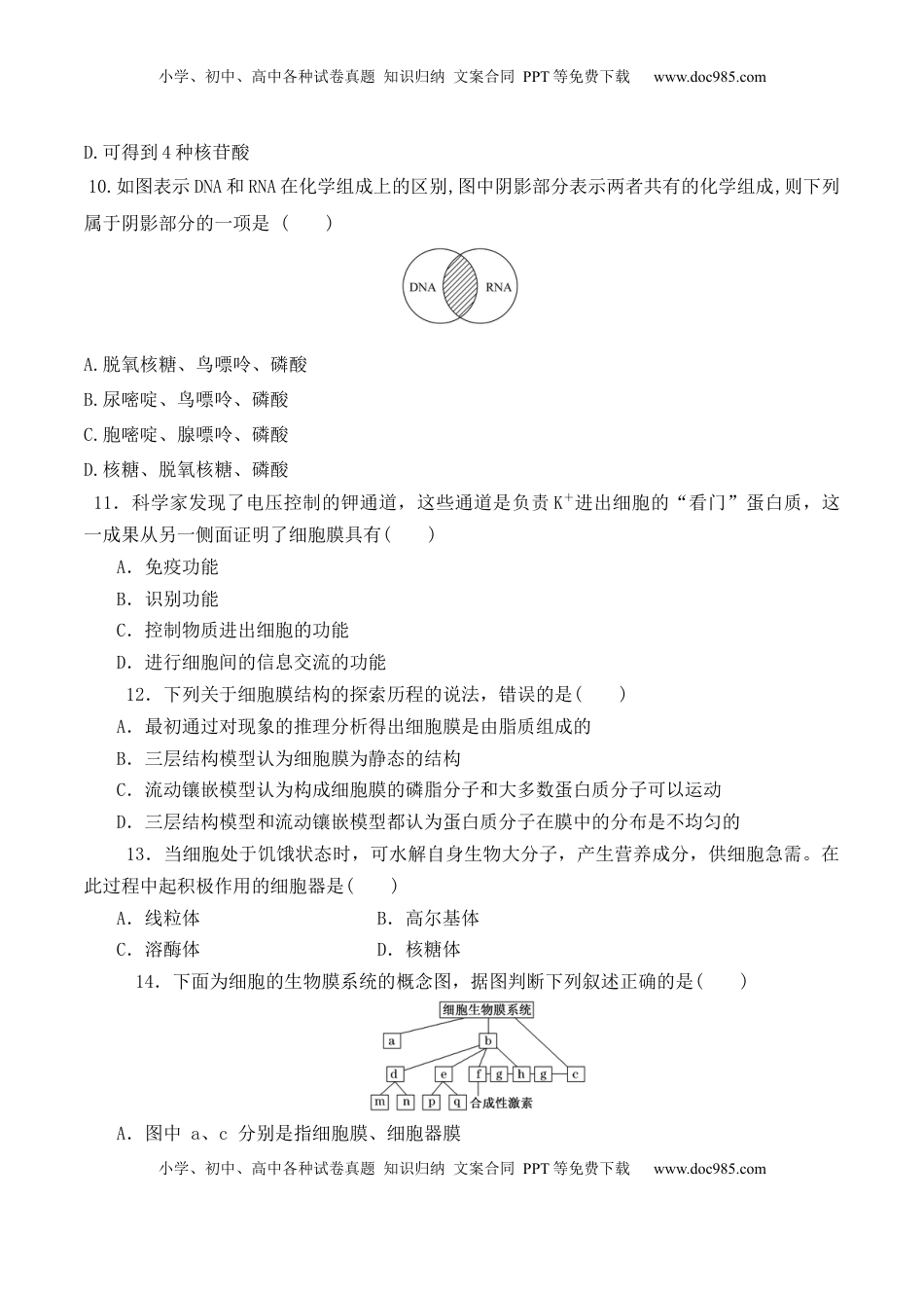 期中预测卷（二）-2022-2023学年高一生物上学期课后培优分级练（2019人教版必修1）（原卷版）.docx