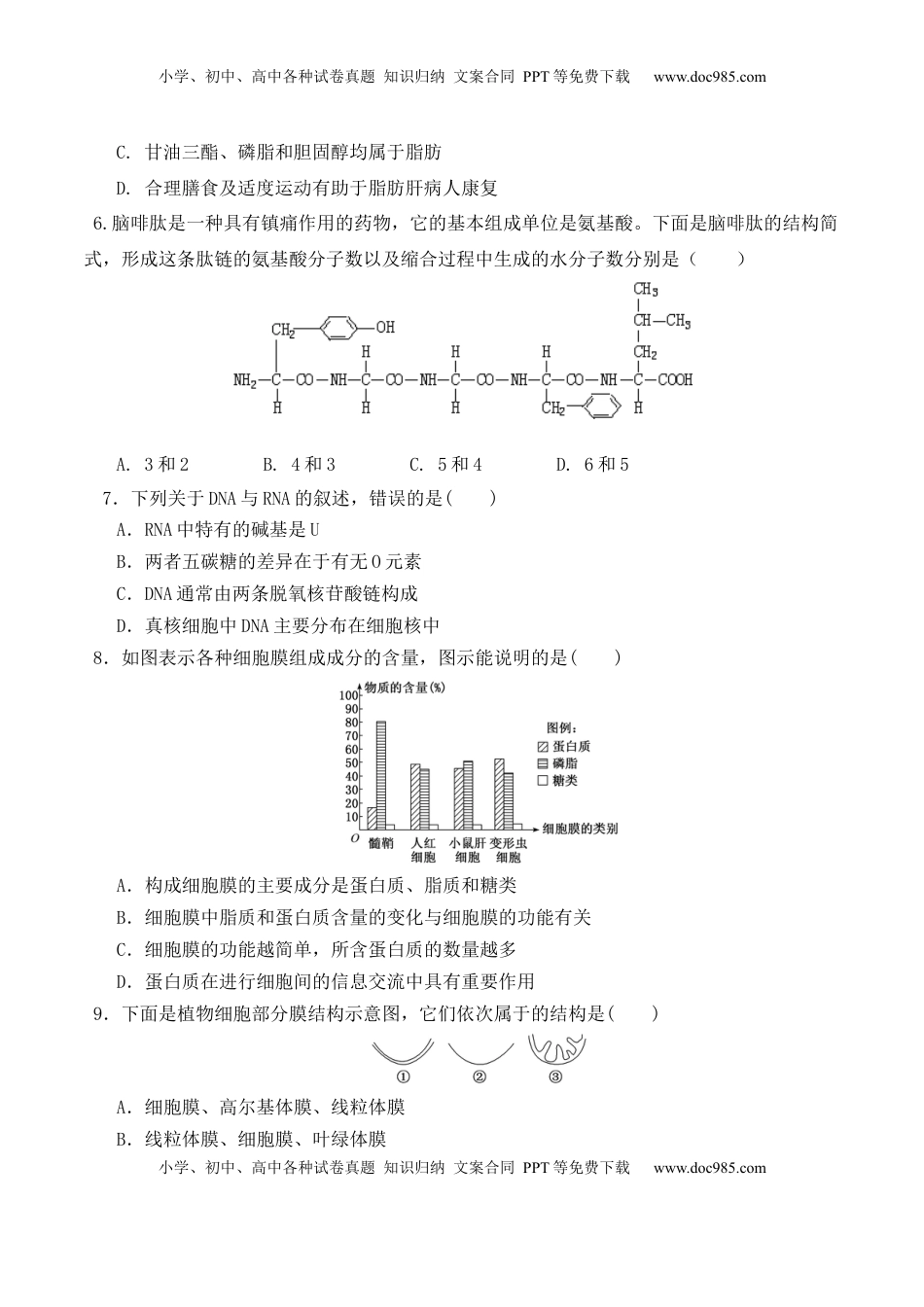 期末预测卷（一）-2022-2023学年高一生物上学期课后培优分级练（2019人教版必修1）（原卷版）.docx