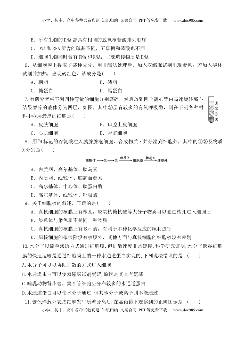 期末预测卷（二）-2022-2023学年高一生物上学期课后培优分级练（2019人教版必修1）（原卷版）.docx