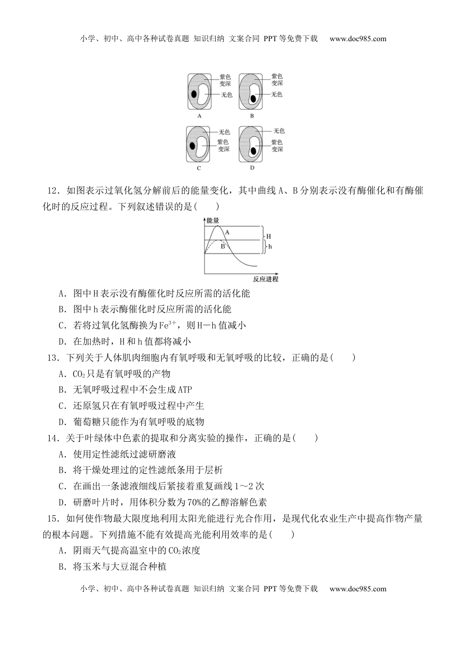 期末预测卷（二）-2022-2023学年高一生物上学期课后培优分级练（2019人教版必修1）（原卷版）.docx