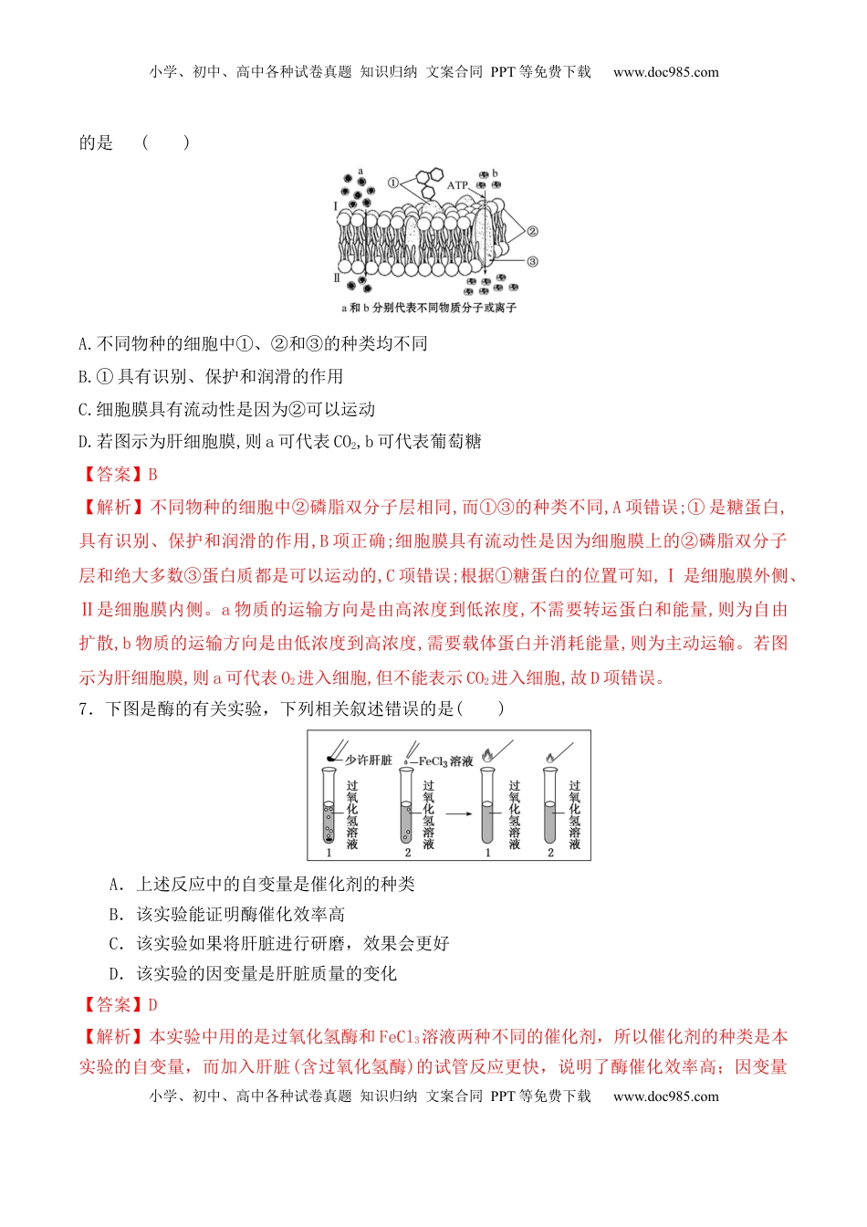 第二次月考卷 -2022-2023学年高一生物上学期课后培优分级练（2019人教版必修1）（解析版）.docx