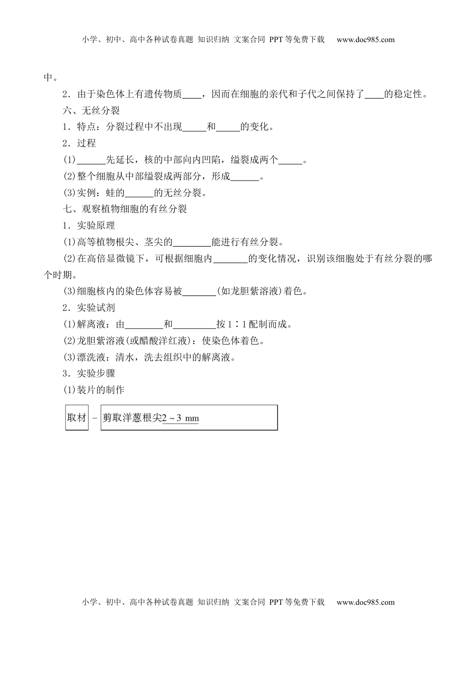 6.1 细胞的增殖-2022-2023学年高一生物上学期课后培优分级练（2019人教版必修1）（原卷版）.docx