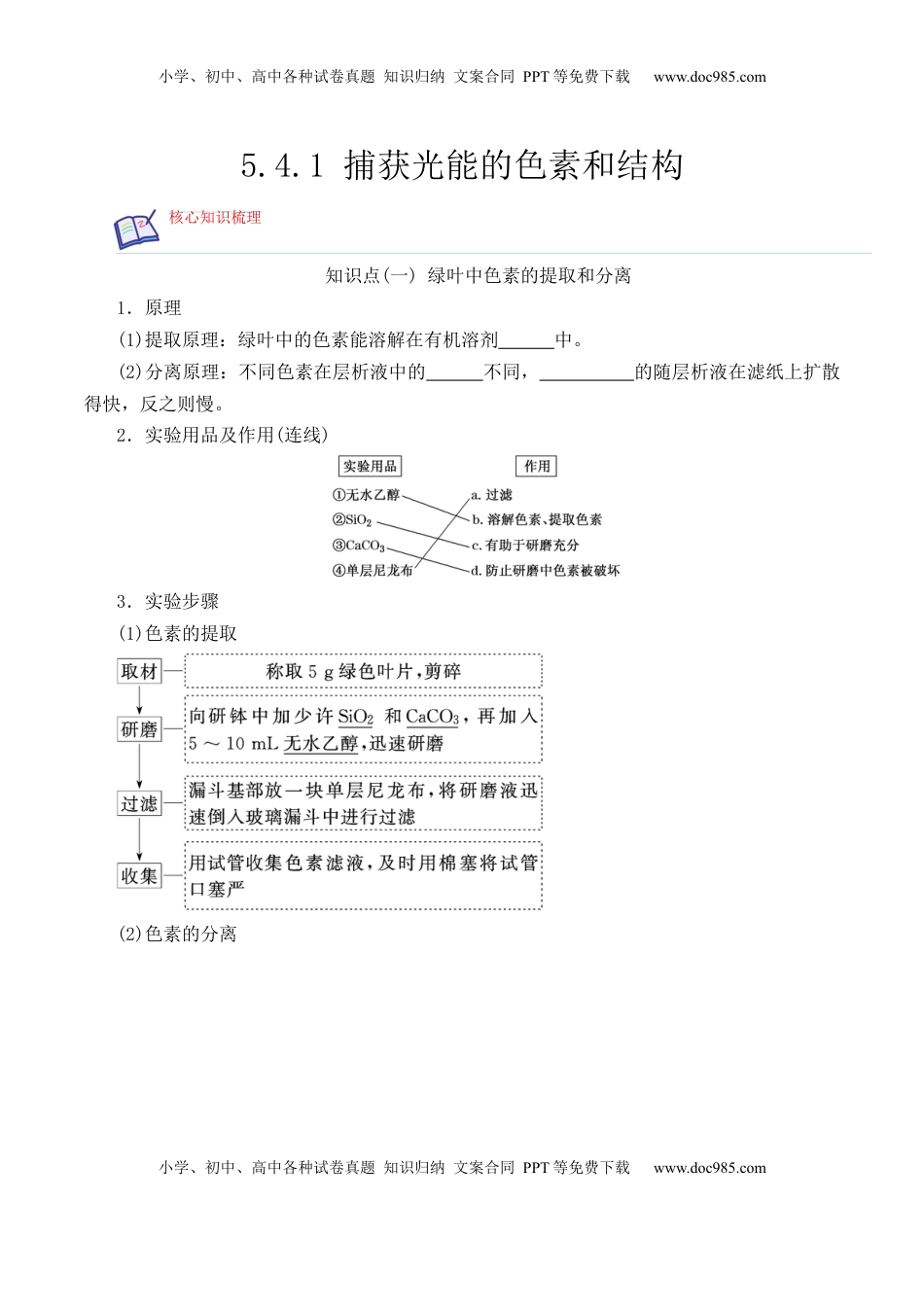 5.4.1 捕获光能的色素和结构-2022-2023学年高一生物上学期课后培优分级练（2019人教版必修1）（原卷版）.docx