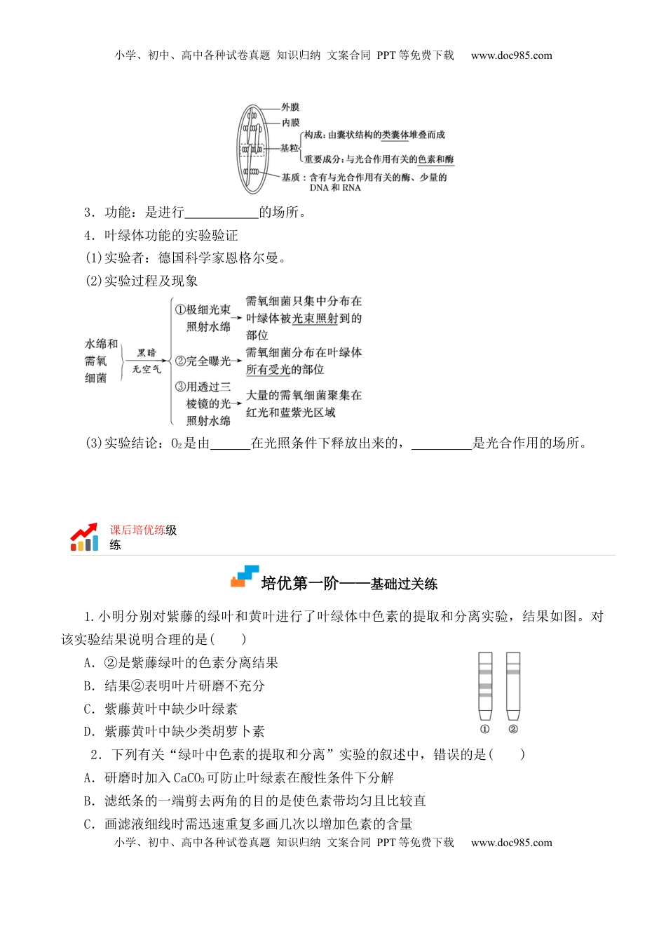 5.4.1 捕获光能的色素和结构-2022-2023学年高一生物上学期课后培优分级练（2019人教版必修1）（原卷版）.docx