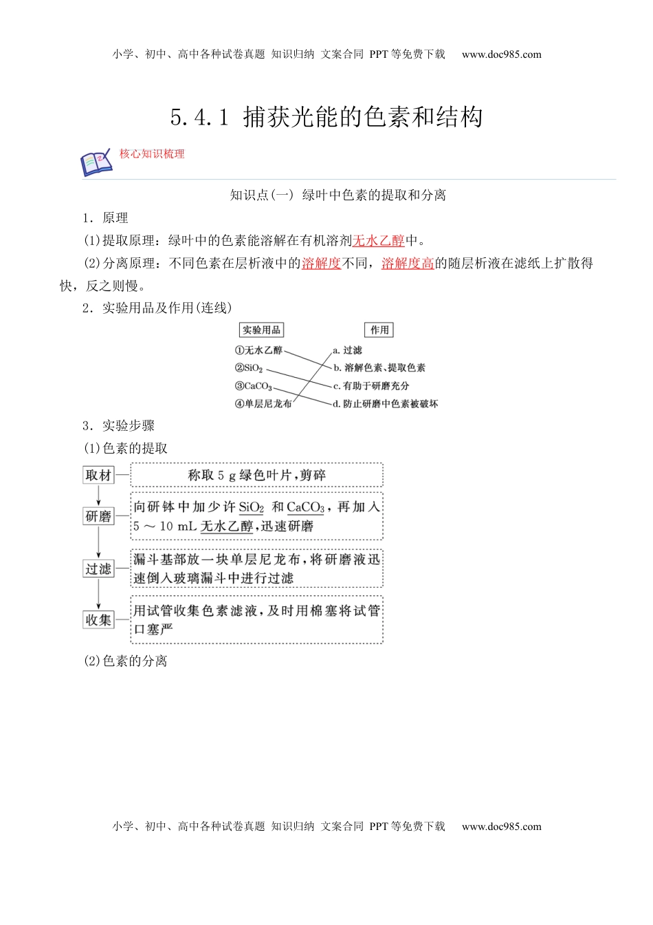 5.4.1 捕获光能的色素和结构-2022-2023学年高一生物上学期课后培优分级练（2019人教版必修1）（解析版）.docx