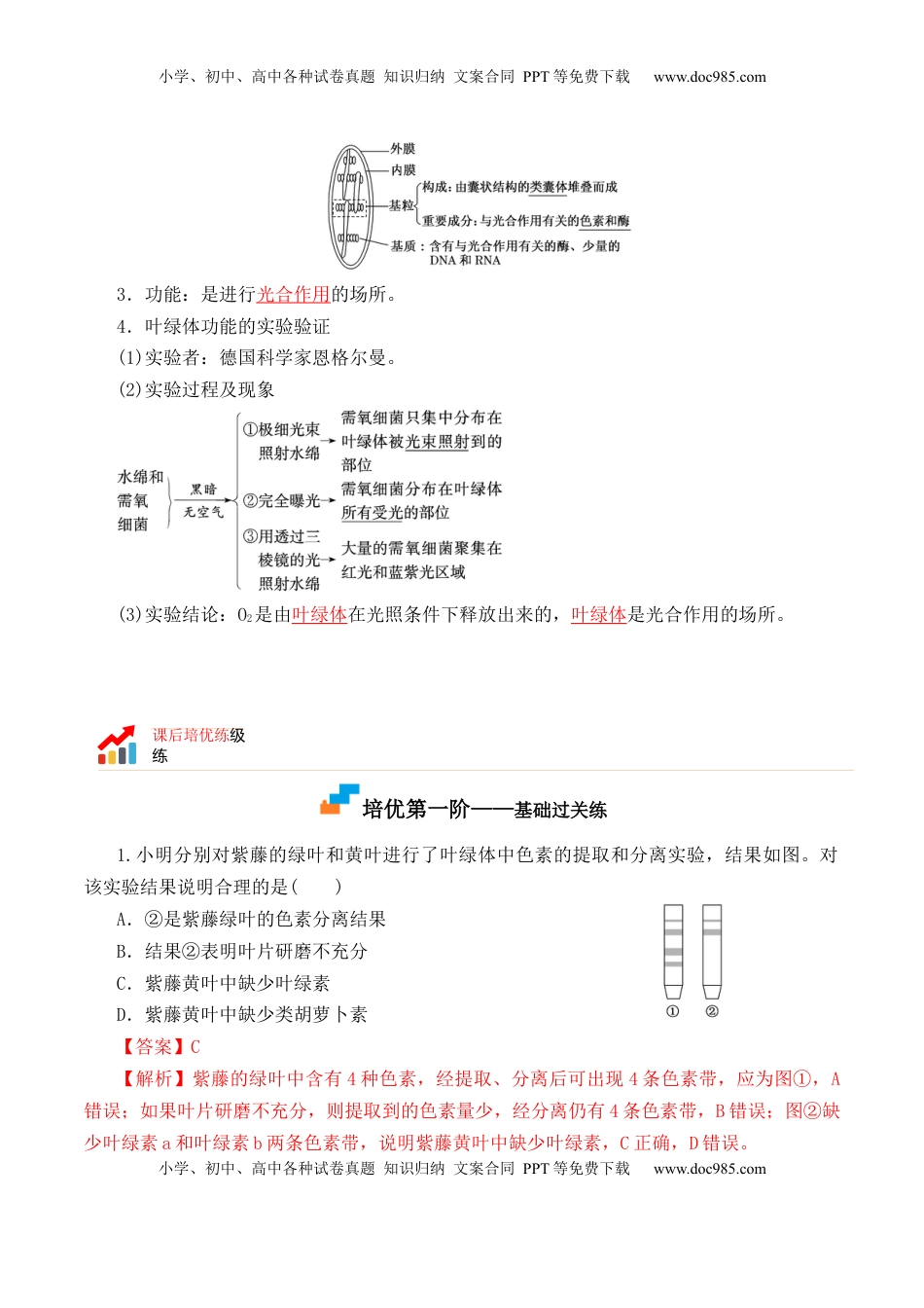 5.4.1 捕获光能的色素和结构-2022-2023学年高一生物上学期课后培优分级练（2019人教版必修1）（解析版）.docx