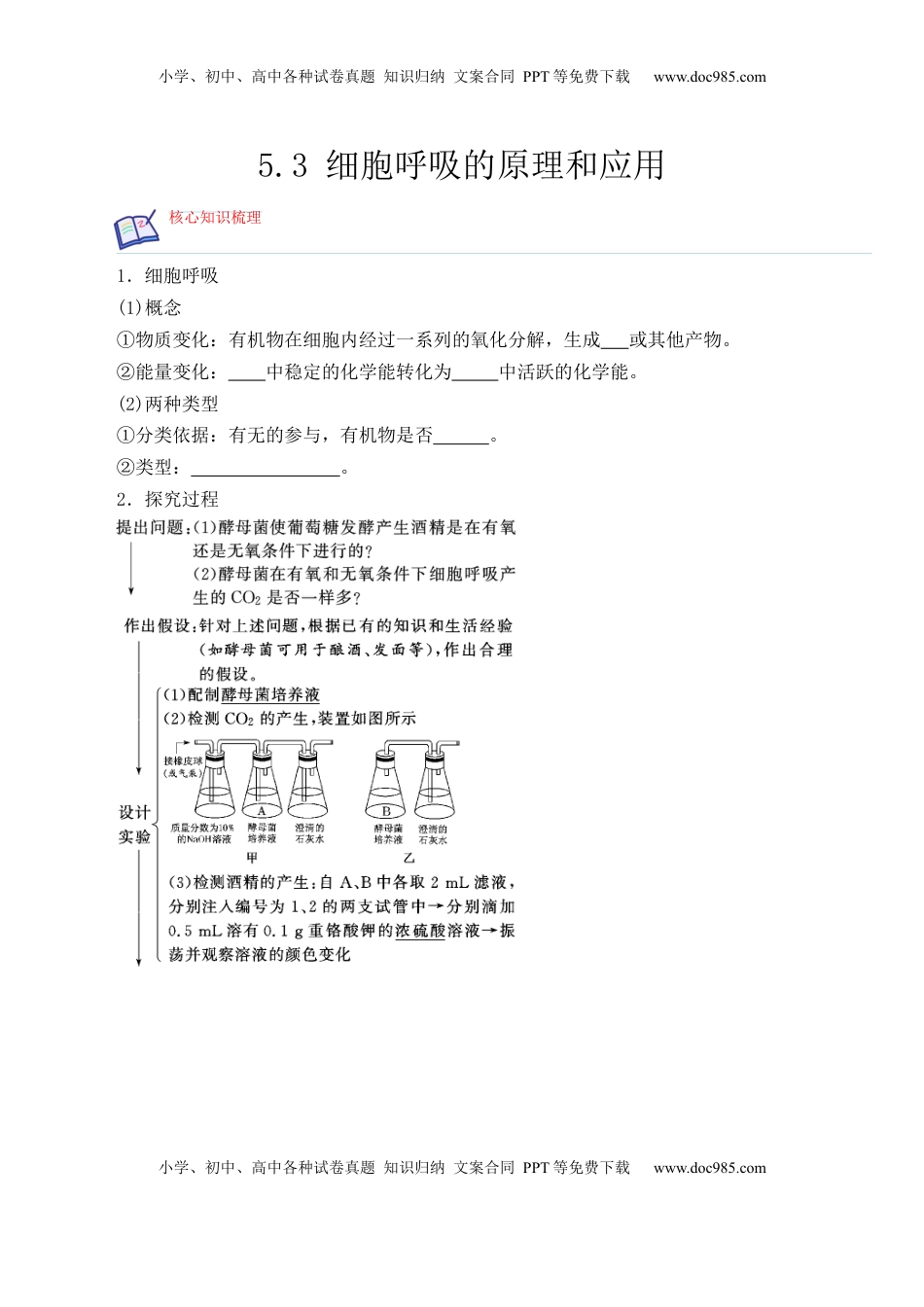 5.3 细胞呼吸的原理和应用- 2022-2023学年高一生物上学期课后培优分级练（2019人教版必修1）（原卷版）.docx