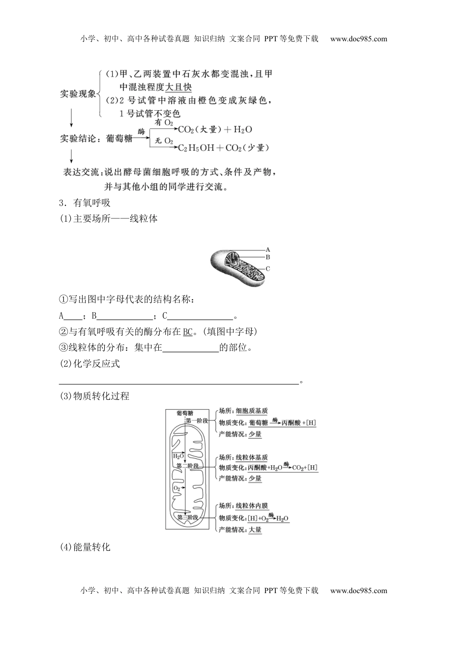 5.3 细胞呼吸的原理和应用- 2022-2023学年高一生物上学期课后培优分级练（2019人教版必修1）（原卷版）.docx