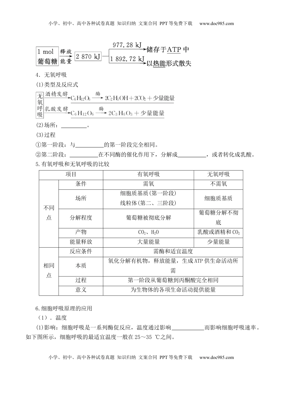 5.3 细胞呼吸的原理和应用- 2022-2023学年高一生物上学期课后培优分级练（2019人教版必修1）（原卷版）.docx