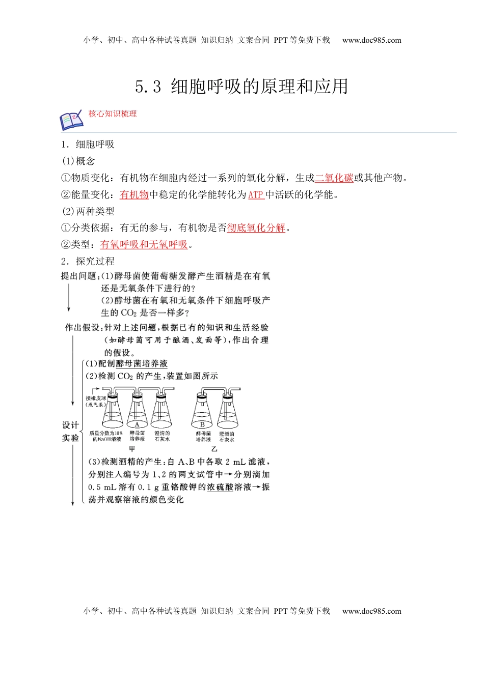 5.3 细胞呼吸的原理和应用- 2022-2023学年高一生物上学期课后培优分级练（2019人教版必修1）（解析版）.docx