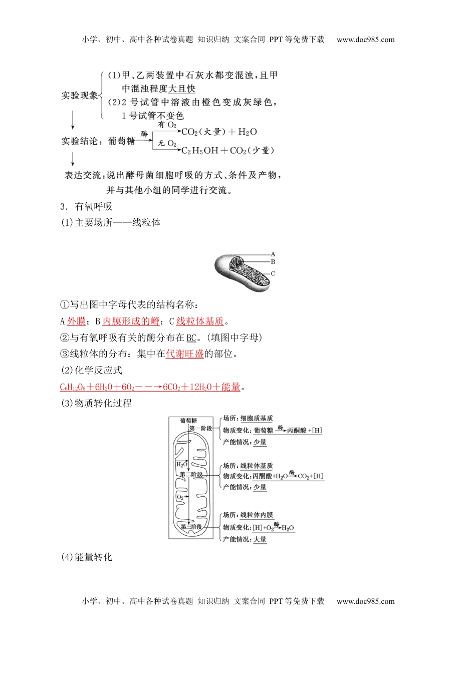 5.3 细胞呼吸的原理和应用- 2022-2023学年高一生物上学期课后培优分级练（2019人教版必修1）（解析版）.docx