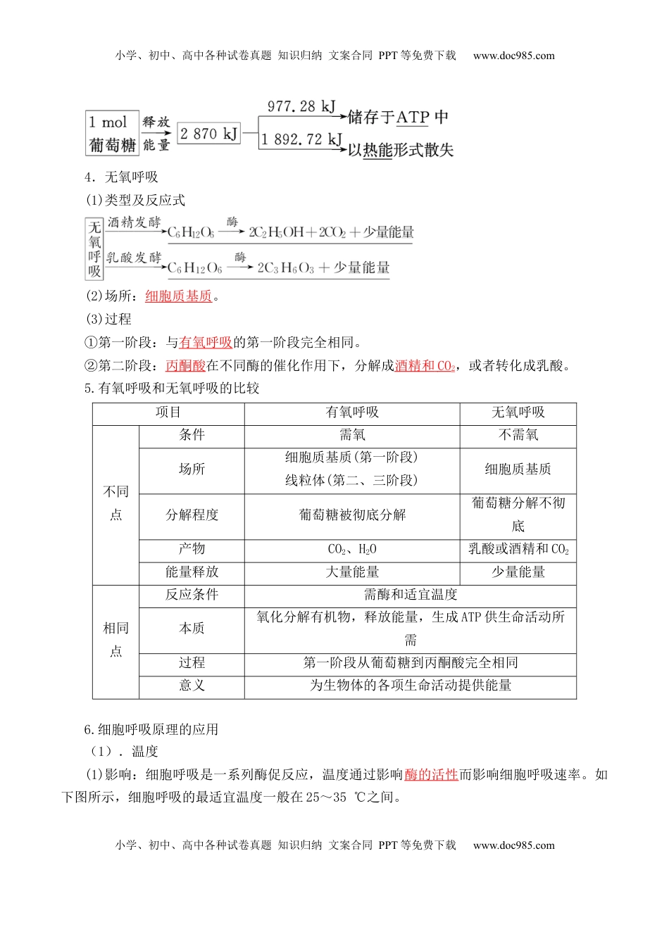 5.3 细胞呼吸的原理和应用- 2022-2023学年高一生物上学期课后培优分级练（2019人教版必修1）（解析版）.docx