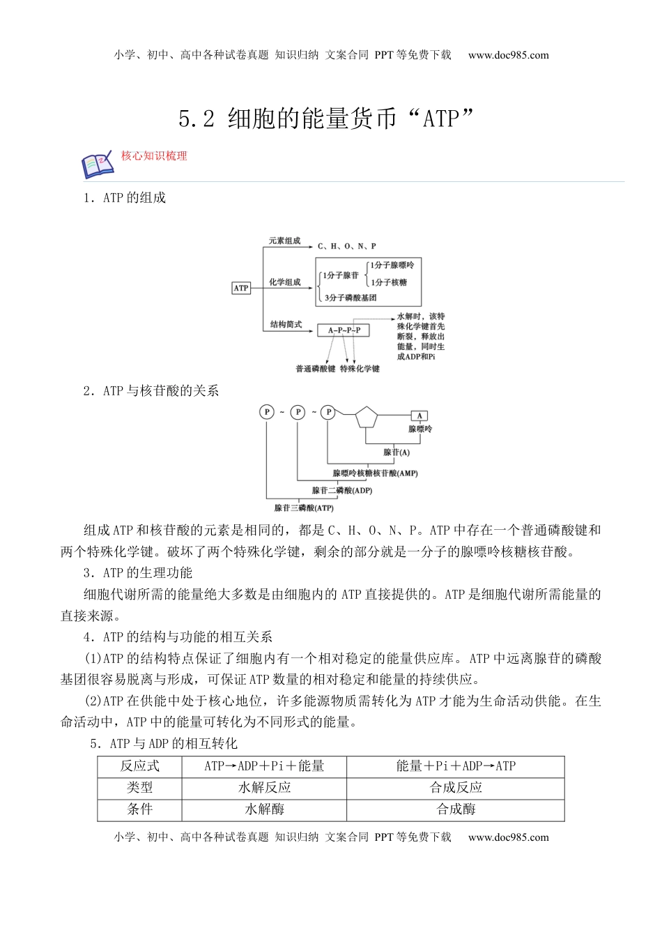 5.2 细胞的能量货币“ATP” - 2022-2023学年高一生物上学期课后培优分级练（2019人教版必修1）（解析版）.docx