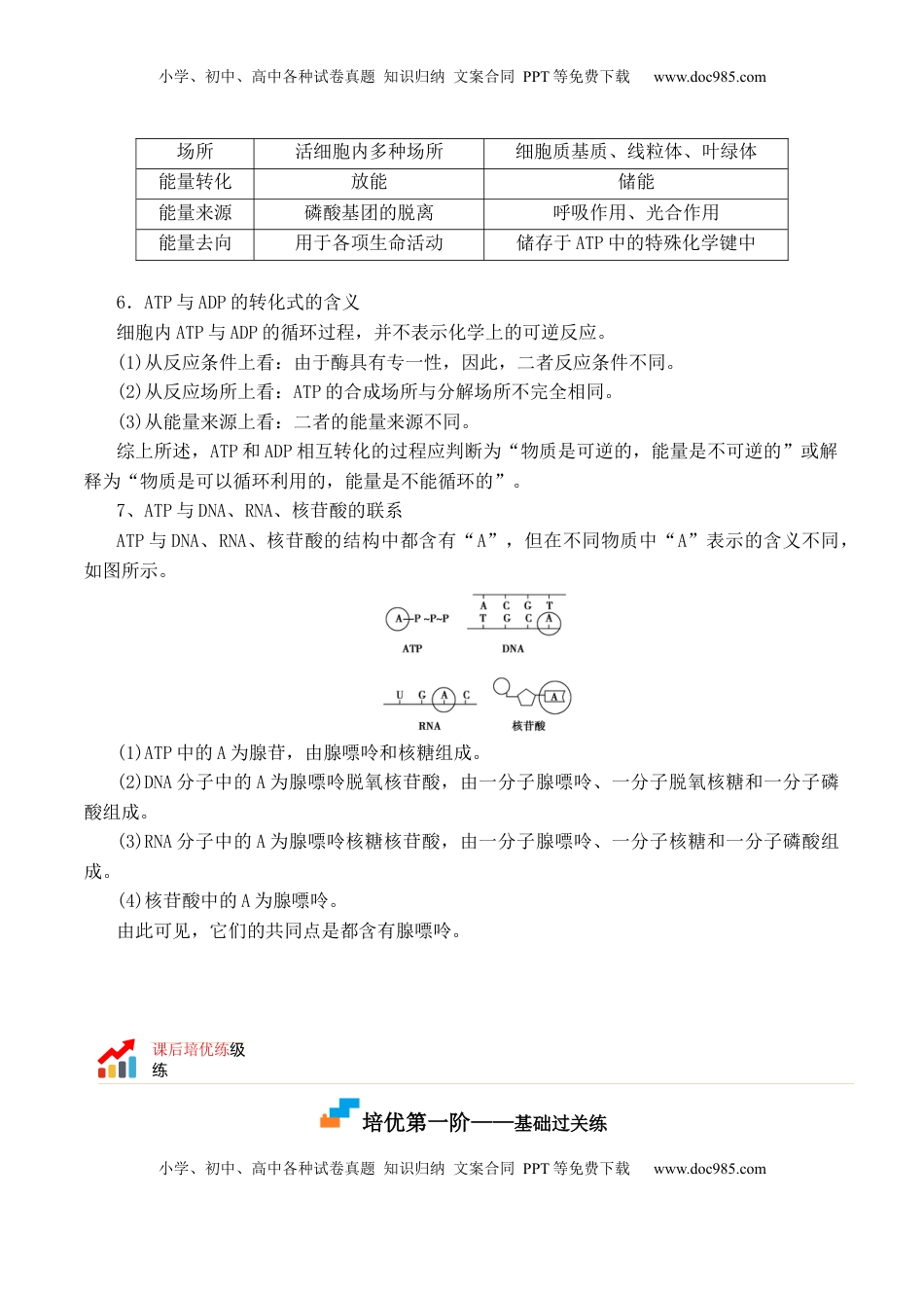 5.2 细胞的能量货币“ATP” - 2022-2023学年高一生物上学期课后培优分级练（2019人教版必修1）（解析版）.docx