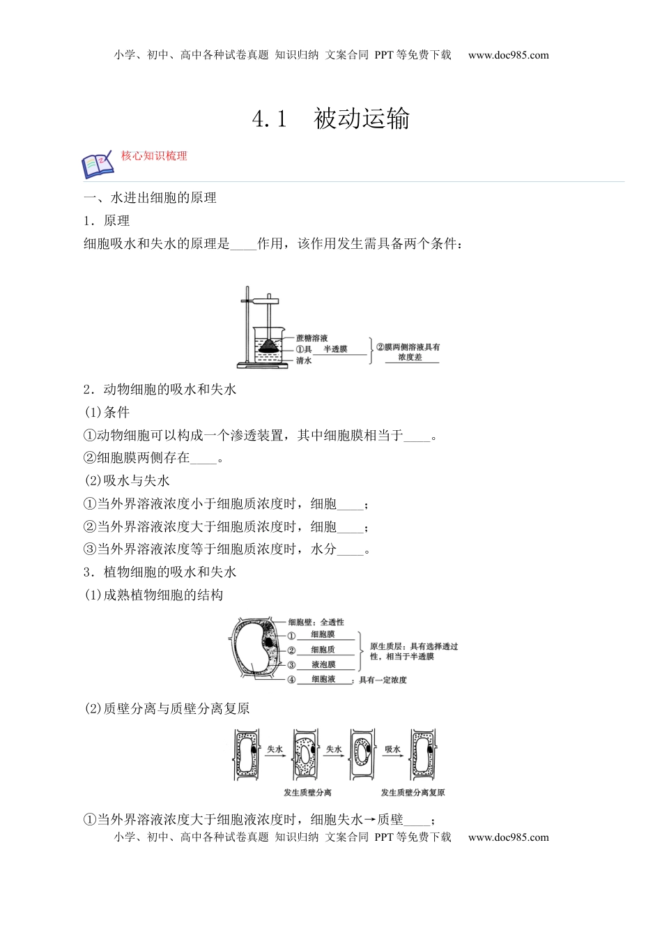 4.1 被动运输-2022-2023学年高一生物上学期课后培优分级练（2019人教版必修1）（原卷版）.docx